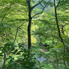 どじんのおんがく。.m4a