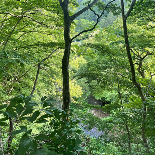 どじんのおんがく。.m4a