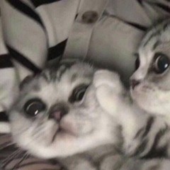 她是我的
