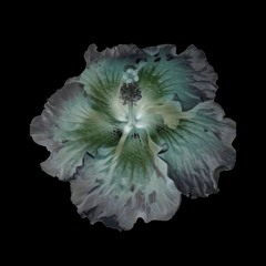 Let It Happen - MØNAPLICE Edit.