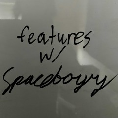 spaceboyry features