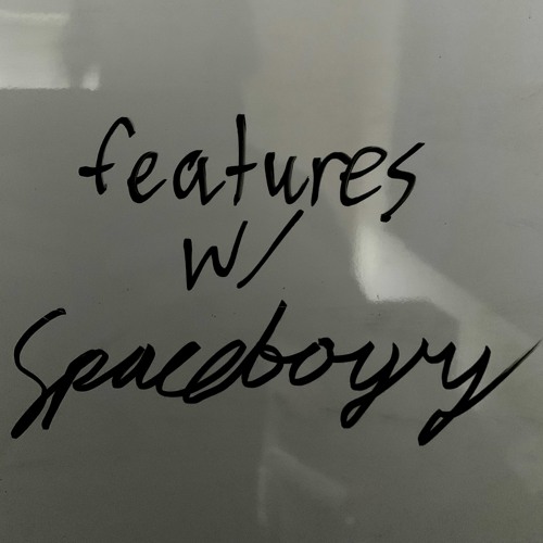 spaceboyry features