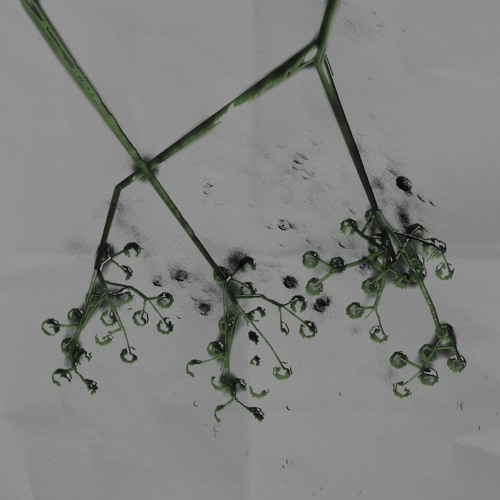 Premiere: Trojanovskx - The Erotic Objects [Edited Arts]