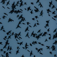 Sardargom(mahdiii).mp3