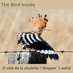 EL VALS DE LA ABUBILLA / HOOPOE´S WALTZ