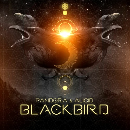 Pandora & Alicid - Black Bird