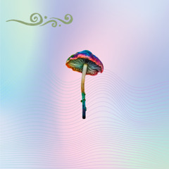 Mushroom energy