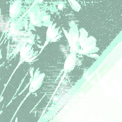 Radio Hard Bloom 001