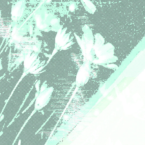 Radio Hard Bloom 001