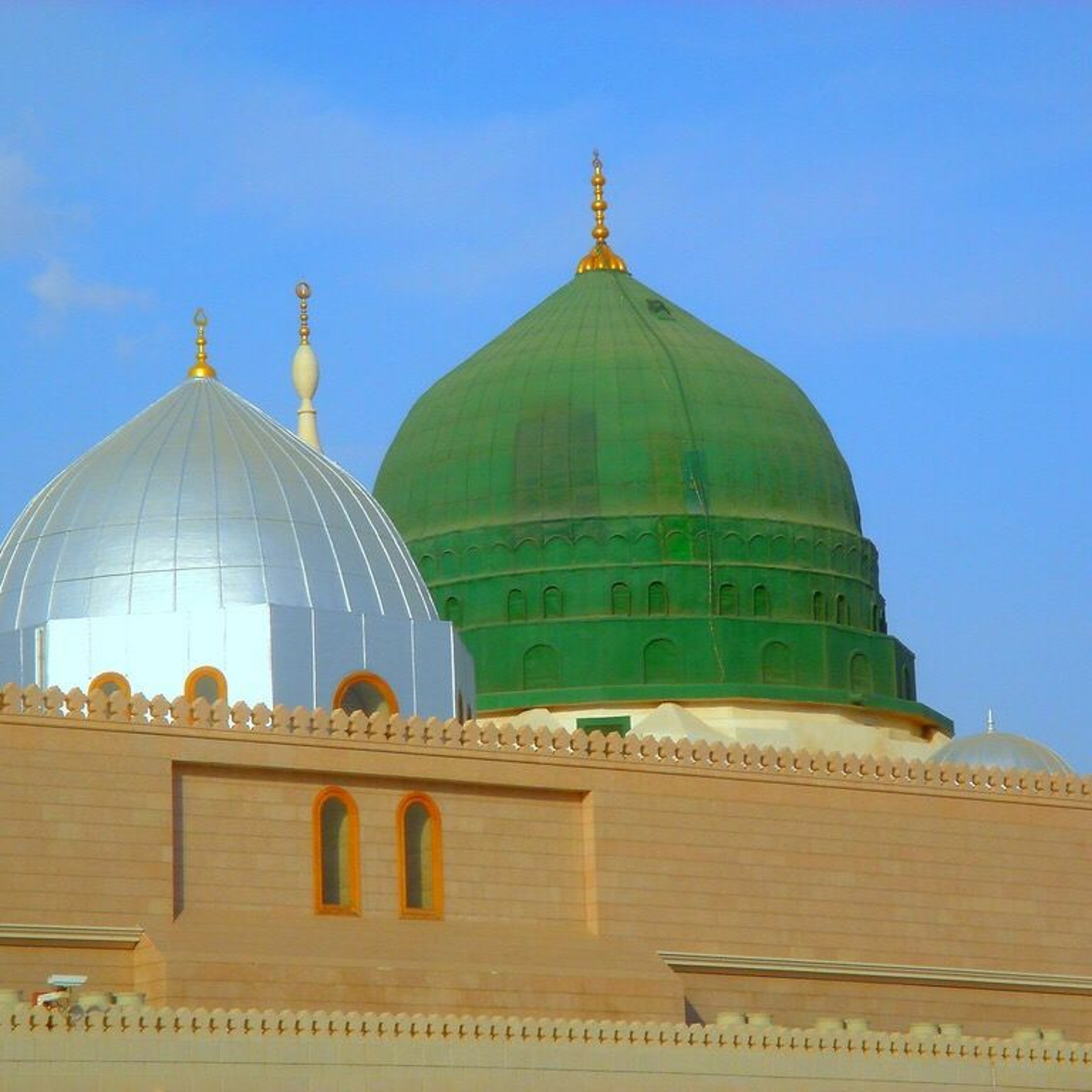 الحَلقةُ التاسعة عشرة من كِتابِ شَمائلِ النَّبِيِّ ﷺ للإمامِ التِّرمِذِيّ رحمه الله تعالى episode artwork