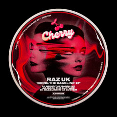 RAZ UK - Bassline In Ya System (Original Mix)