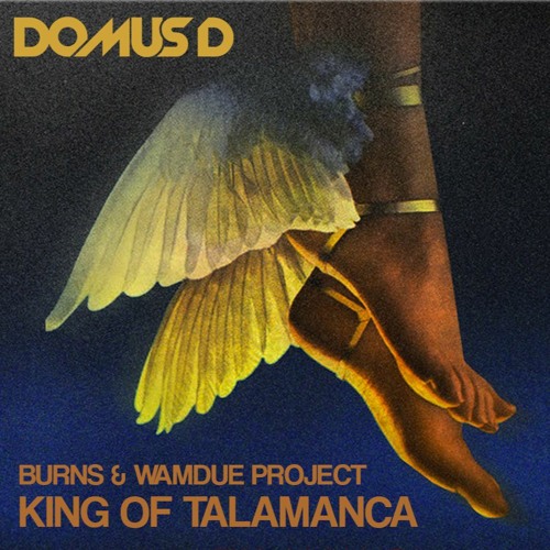King Of Talamanca ( Domus D rework ) - Burns vs Wamdue Project