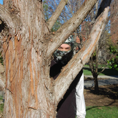 Everyman4themself [DEMO]