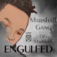 Engulfed(prod by OG Marshall).mp3