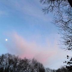 stressors {prod irby}