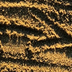 Rock Me All Night(Instrumental)