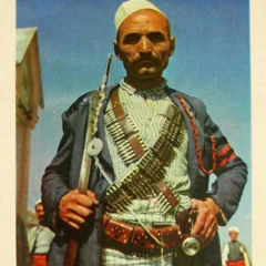 Shaban Polluzha