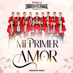 Mi Primer Amor