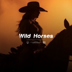 WILD HORSES ᴼᴬᵇᵉᵃᵗˢ Country Pop Type Beat