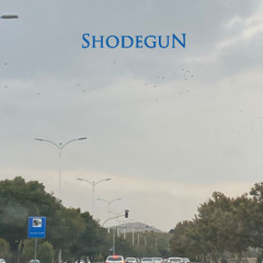 Shodegun