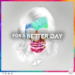For A Better Day (DubVision Remix)