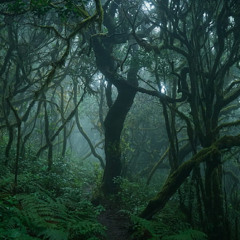 FREE Atmospheric Type Beat / )=