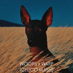 WOOPS x WARP (CHICO MASH)