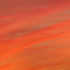 Phrase Ep. IV