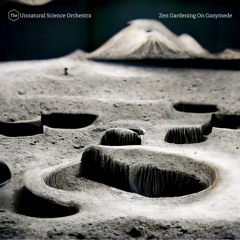 Zen Gardening On Ganymede (Sampler)