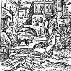 Rey de las ratas (cover Niño Predicador)