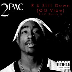 2Pac - R U Still Down (OG Vibe)(Mixed By Wizzattz)