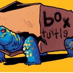 Turtle in da Box,,, Feat Caleb Charles on Vocals