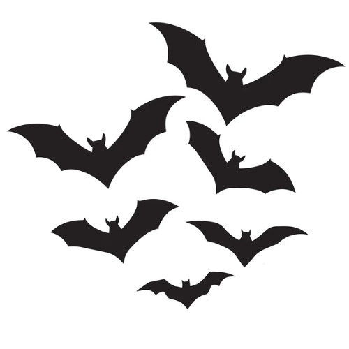 279tyler - Waddup Bats [prod. ohbats] DJ Ant EXCLUSIVE