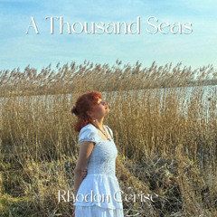 A Thousand Seas