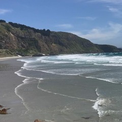 Aramoana Mole
