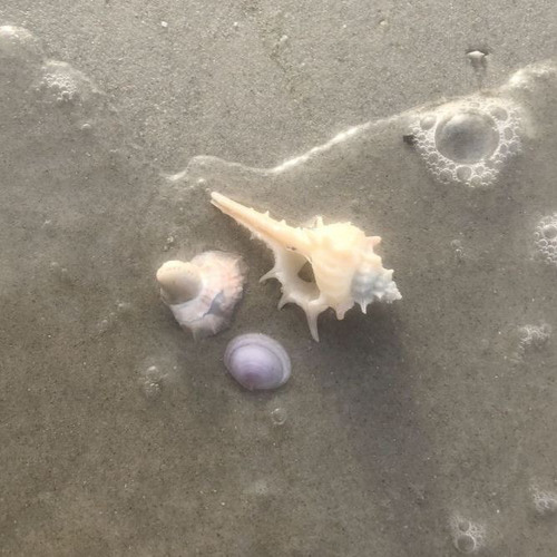 너의 이름은 맑음