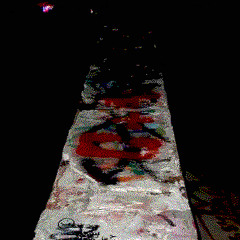 orbfishe