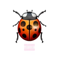 Luv Bug