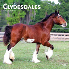 [FREE] KINDLE 📕 Clydesdales 2020 12 x 12 Inch Monthly Square Wall Calendar, Animals