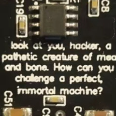 I have no mouth but i must scream - AM speech