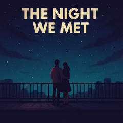 the night we met