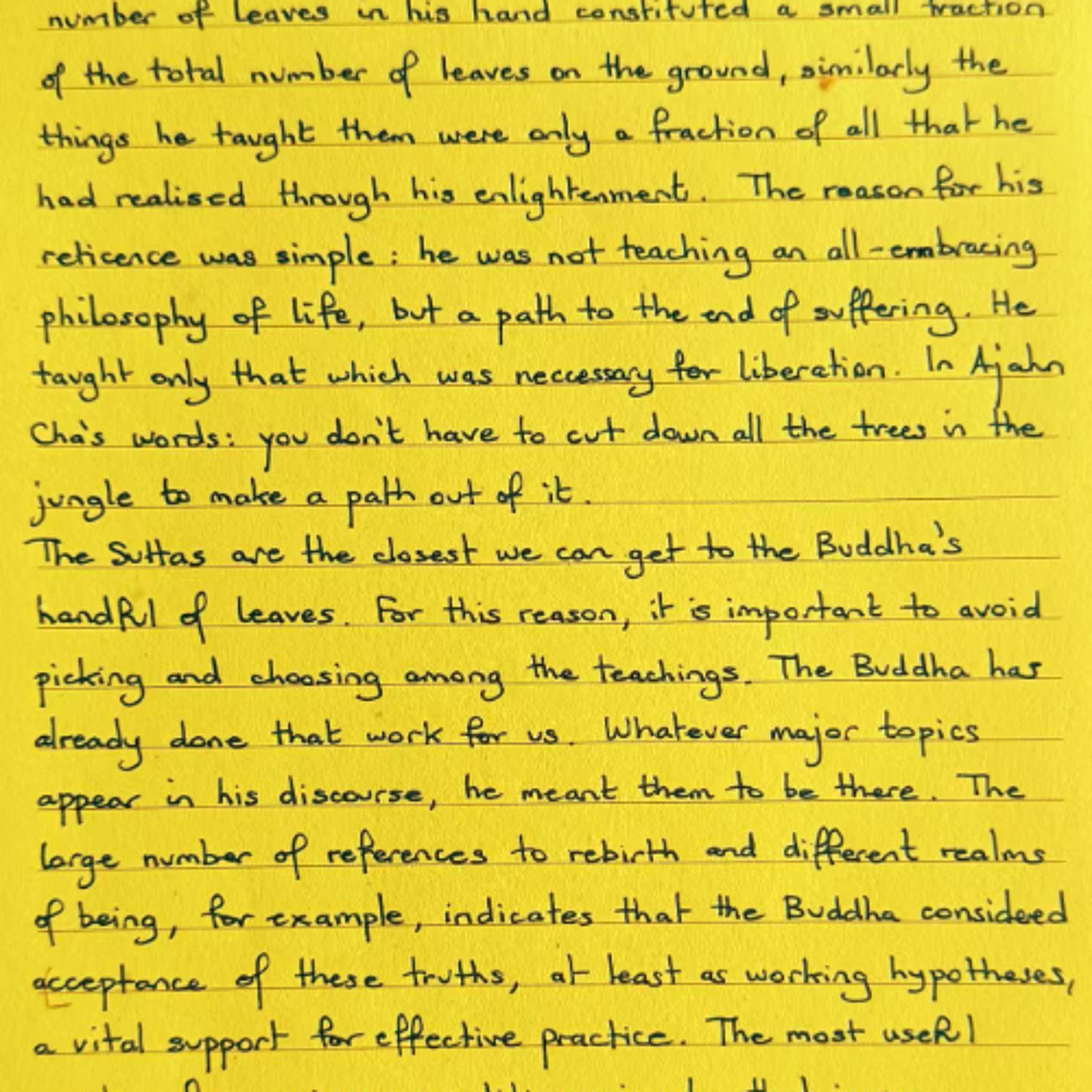 Nutrimento del Cuore - Foglietto Giallo del 21 ottobre 2025 e la manciata di foglie del Buddha