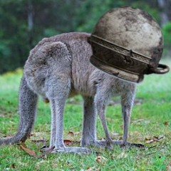 Biblical (ft. Big Clit & IronDome)