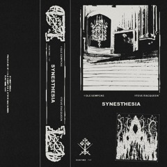 Synesthesia (feat. Steve MacQueen)