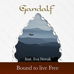 Bound To Live Free - Short Edit