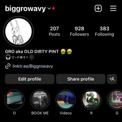 BIG GRO WAVY X GMB RADDY - 2 BIRDS ONE STONE