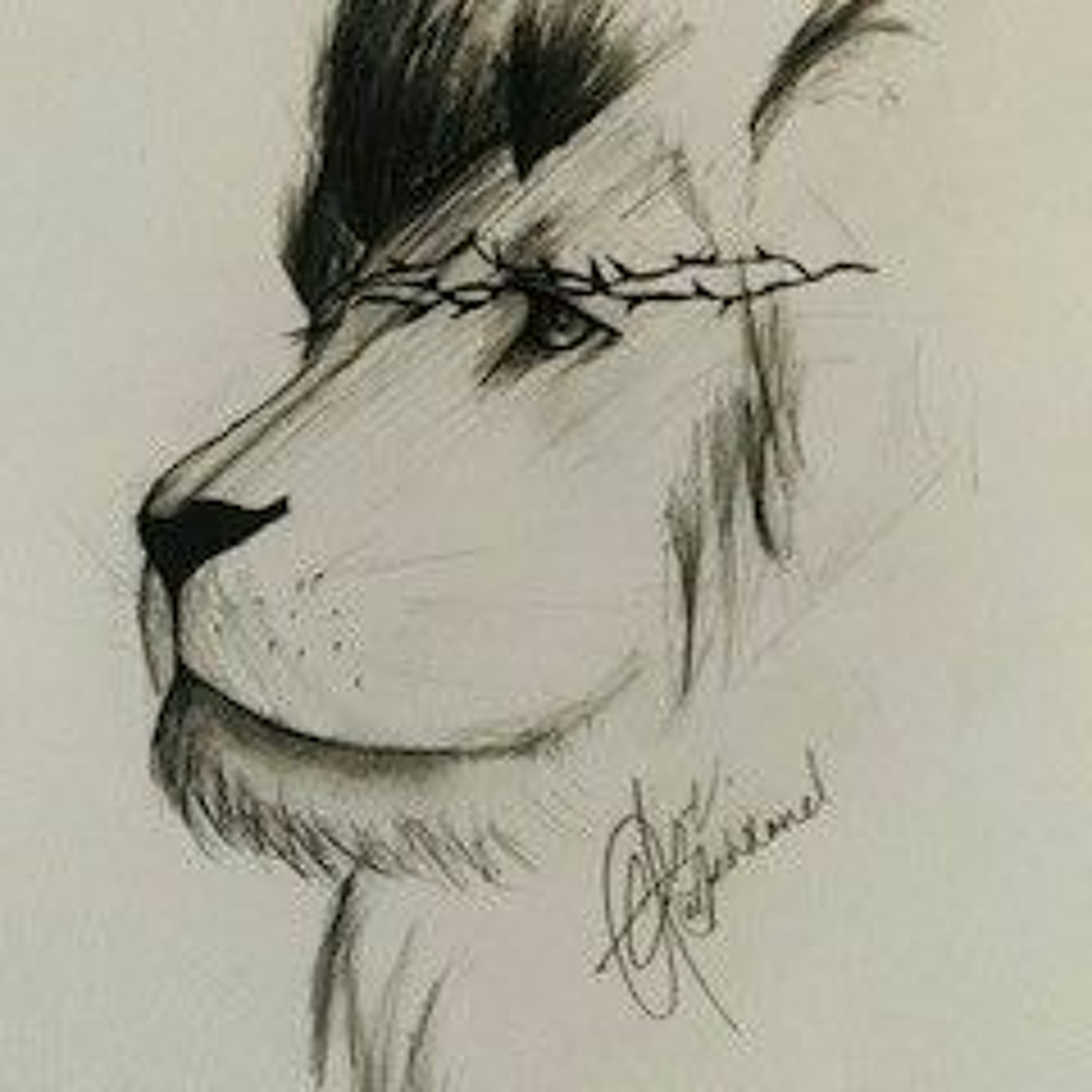 nellywallz