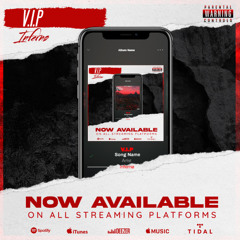 V.I.P (HARDBOUNCE)