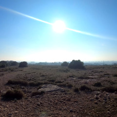 Soil Management Makes Sense - The Corta Vita