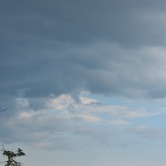 I need you "WHERE YOU AT"